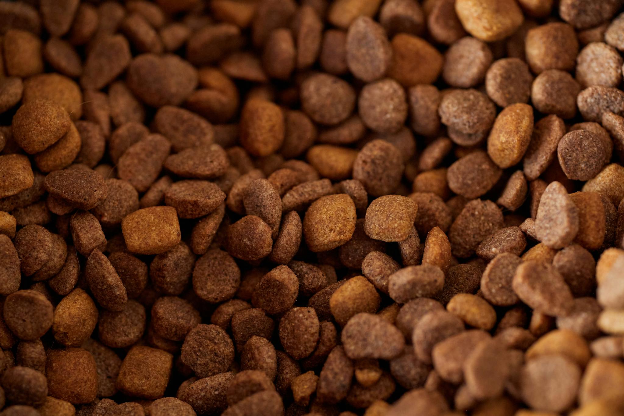 An appetizing close-up of brown dry pet food kibble, perfect for pet nutrition imagery.