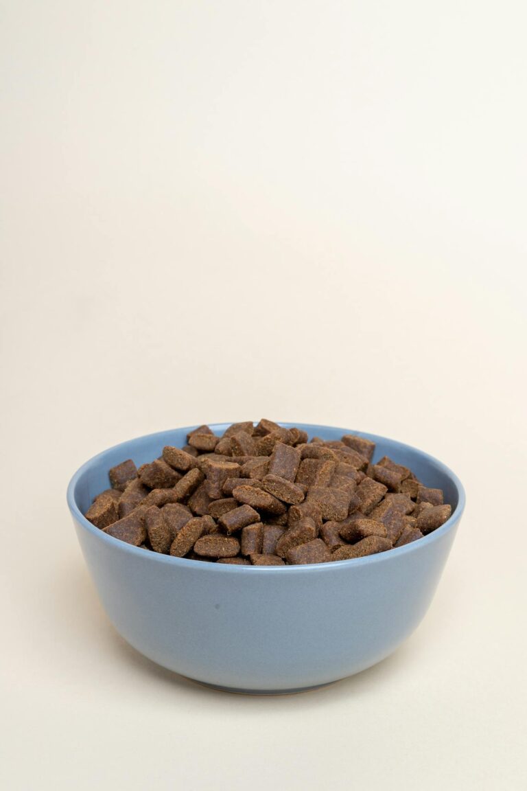 Studio shot of a blue bowl filled with brown pet food pellets against a neutral white background.